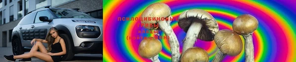 круглые Нефтегорск