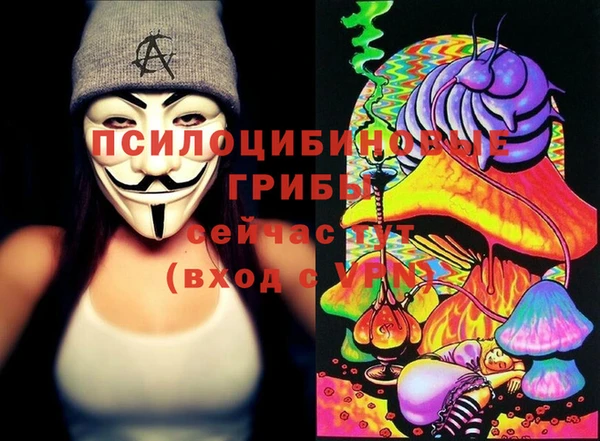 синтетический гашиш Алексеевка